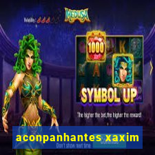 aconpanhantes xaxim